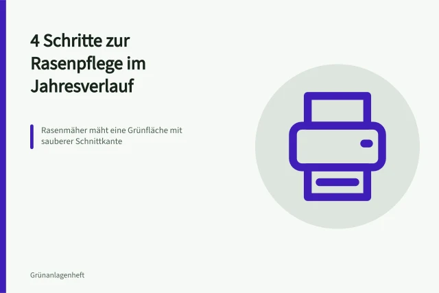 Rasenmäher mäht eine Grünfläche mit sauberer Schnittkante. 4 Schritte zur Rasenpflege im Jahresverlauf