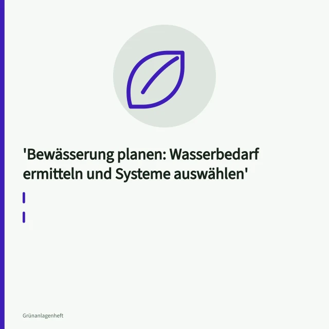 Tropfline im Beet gibt Wasser direkt an den Wurzelraum ab. Bewässerung planen: Wasserbedarf ermitteln und Systeme auswählen