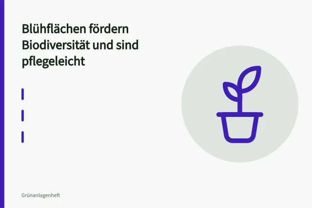 Bunte Blühfläche mit Wildblumen und Gräsern im Freiraum. Blühflächen fördern Biodiversität und sind pflegeleicht