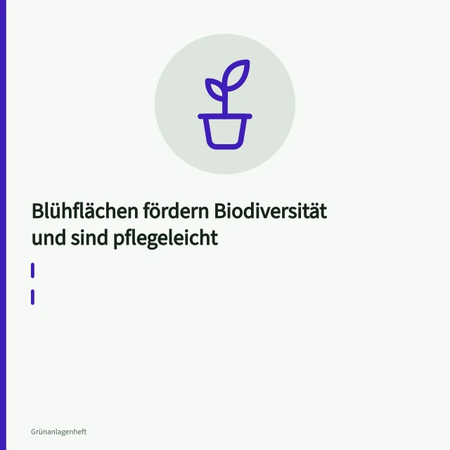 Bunte Blühfläche mit Wildblumen und Gräsern im Freiraum. Blühflächen fördern Biodiversität und sind pflegeleicht