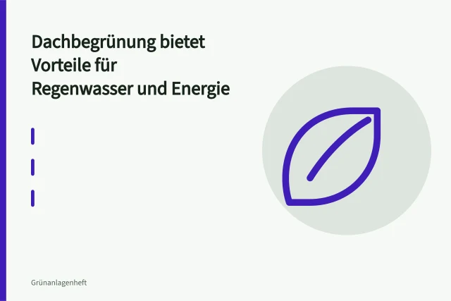 Extensives Gründach mit Sedum und Substrat auf einem Flachdach. Dachbegrünung bietet Vorteile für Regenwasser und Energie