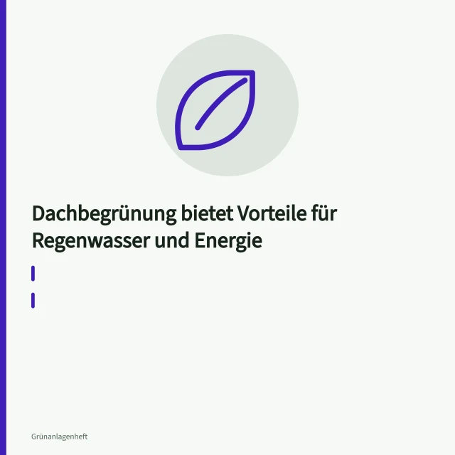 Extensives Gründach mit Sedum und Substrat auf einem Flachdach. Dachbegrünung bietet Vorteile für Regenwasser und Energie