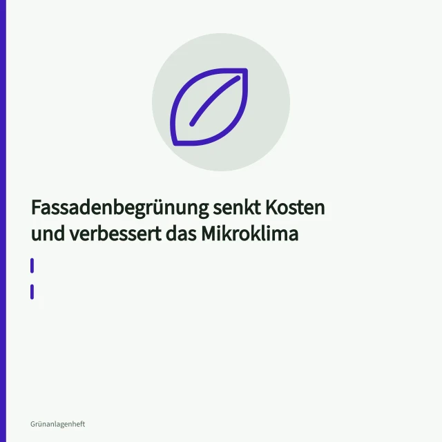Bodengebundene Fassadenbegrünung mit Rankgerüst an einer Hauswand. Fassadenbegrünung senkt Kosten und verbessert das Mikroklima