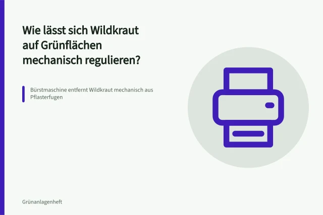 Bürstmaschine entfernt Wildkraut mechanisch aus Pflasterfugen. Wie lässt sich Wildkraut auf Grünflächen mechanisch regulieren?