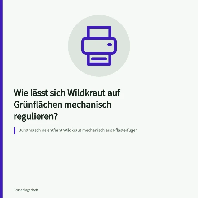 Bürstmaschine entfernt Wildkraut mechanisch aus Pflasterfugen. Wie lässt sich Wildkraut auf Grünflächen mechanisch regulieren?